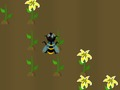 Nectar Harvest 