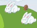 Crazy Eggs 