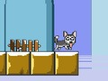 Mr Jump Husky 