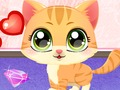 Kitty Fun Care 
