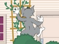 Tom und Jerry: Wasserbomben Wahnsinn 