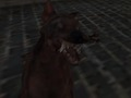 Nazi Zombie Army 