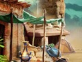 Desert Wisdom 