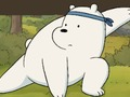 The whole truth about bears: furry and free 