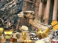 Discover Petra 
