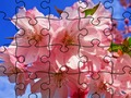 Jigsaw Puzzle: Flowers 