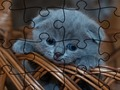 Jigsaw Puzzle: Cats 