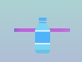 Flip the Water Bottle Online 