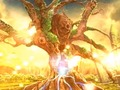 Forest of Wonders 