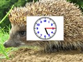Puzzle Pics Clocks 
