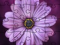 Jigsaw Puzzle Summer 