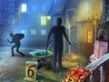 Burglar`s Identity 