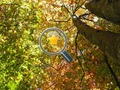 Hidden Gold Stars 