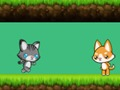 Cat vs dog 
