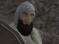 Vikings Aggression 