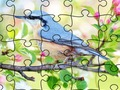 Puzzle puzzle: spring 