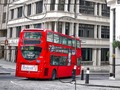 London mosaic 