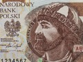 Money Detector Polish Zloty 