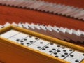 Domino Multiplayer 