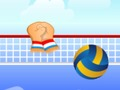 Volley Ball 