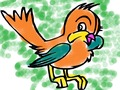 Birds Coloring Book 