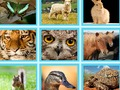 EG Pic Quiz 
