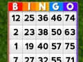 Bingo 