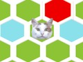 Trap The Cat 