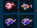Fish cards 