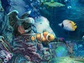 Sunken Gold 