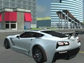 Sports car driver 