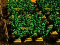 Pixel Farm 