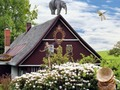 Hidjigs Spring 