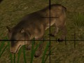 Animal Hunters 