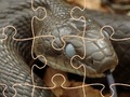Mysterious Snakes: Puzzle 