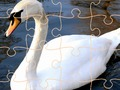 Swan Puzzle Challenge 