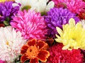 2019 Mother's Day Puzzle 