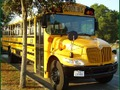 School Buses Puzzle 