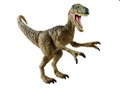 Dinosaur Memory Challenge 