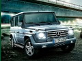 Off-Road Vehicles Puzzle 