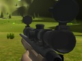 Classical Hippo Hunting 