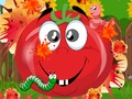 Tomato Explosion 