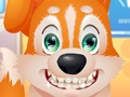 Cute Puppy Dentist 