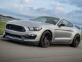 Mustang Shelby Puzzle 