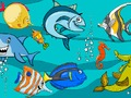 Fish Differences 