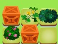 Fusion of plants 