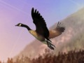 Duck Hunter 
