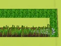 Grass Cut 