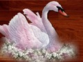 Love Birds Puzzle 