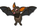 Cute Bat Memory 